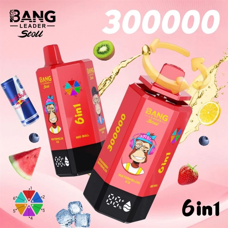 BANGA LĪDERIS 300K