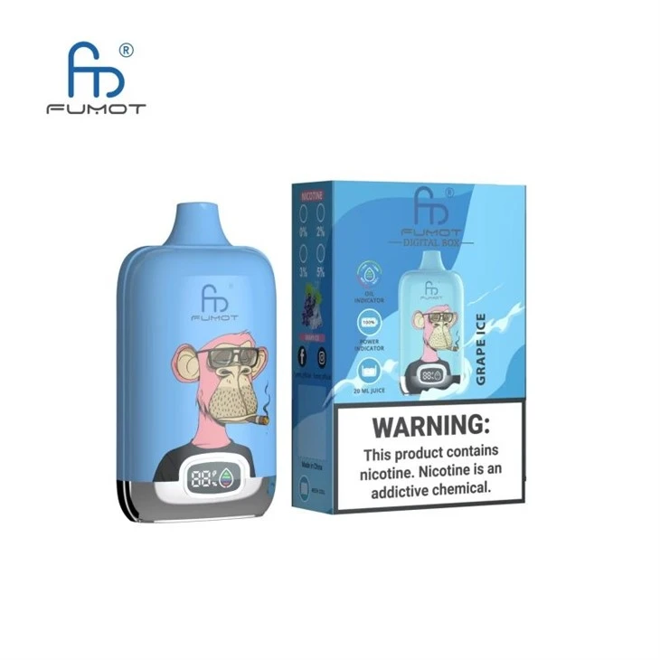 Labākās kvalitātes RandM Digital Box 12000 Puffs vairumtirdzniecības vape
