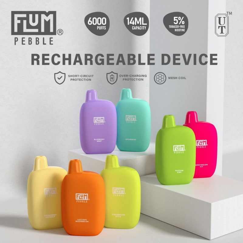 FLUM Pebble 6000 Puffs vienreizējās lietošanas vape