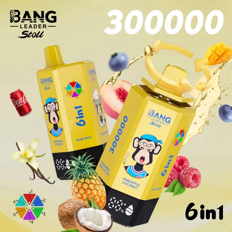 bang leader 300000 6 bang leader 300000 6