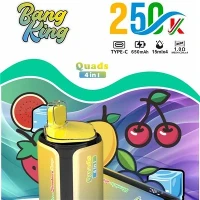 BANG KING kvadricikli 250000 4in1